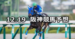 【タンザナイトステークス】2020/12/19(土) 中央競馬 穴馬予想（阪神競馬）
