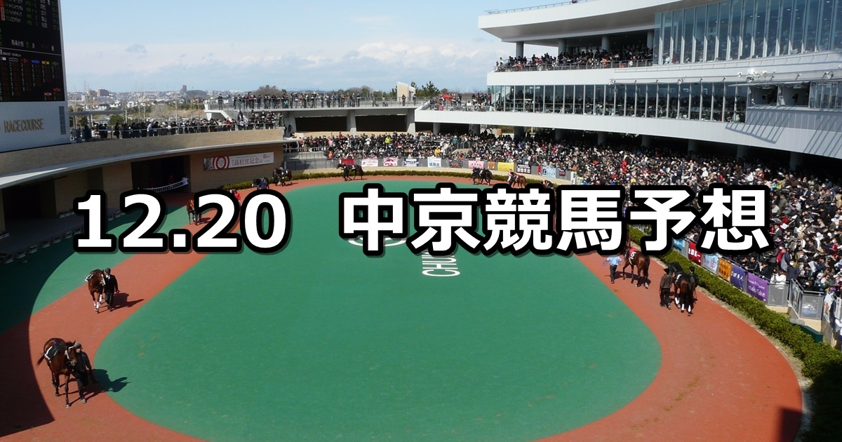 【三河ステークス】2020/12/20(日) 中央競馬 穴馬予想（中京競馬）