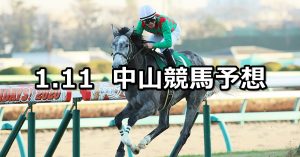【フェアリーステークス】2021/1/11(月) 中央競馬予想(中山競馬)