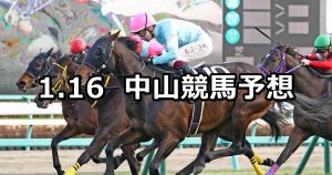 【カーバンクルステークス】2021/1/16(土) 中央競馬 穴馬予想(中山競馬)
