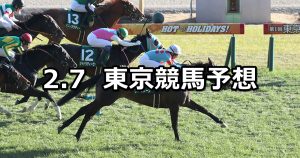 【東京新聞杯】2021/2/7(日) 中央競馬 穴馬予想（東京競馬）