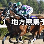 【佐賀記念/報知グランプリカップ】2021/2/11(木)地方競馬 穴馬予想(佐賀/船橋競馬)