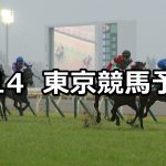 【共同通信杯】2021/2/14(日) 中央競馬 穴馬予想(東京競馬)