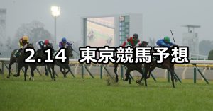 【共同通信杯】2021/2/14(日) 中央競馬 穴馬予想（東京競馬）