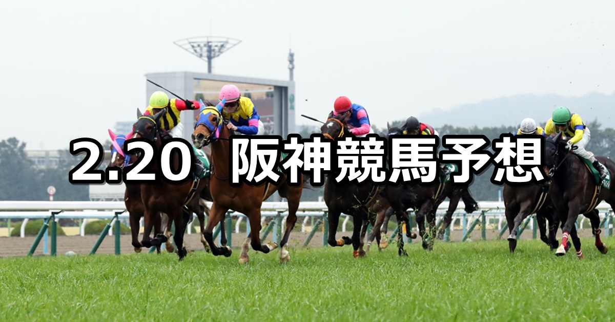 【京都牝馬ステークス】2021/2/20(土) 中央競馬 穴馬予想（阪神競馬）