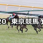 【ダイヤモンドステークス】2021/2/20(土) 中央競馬 穴馬予想(東京競馬)