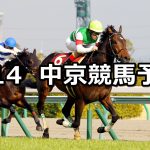 【金鯱賞】2021/3/14(日) 中央競馬 穴馬予想（中京競馬）