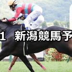 【バーデンバーデンカップ】2021/5/1(土) 中央競馬 穴馬予想(新潟競馬)