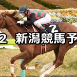 【吾妻小富士ステークス】2021/5/2(日) 中央競馬 穴馬予想(新潟競馬)