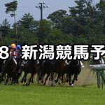 【谷川岳ステークス】2021/5/8(土) 中央競馬 穴馬予想(新潟競馬)