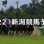 【大日岳特別】2021/5/22(土) 中央競馬 穴馬予想(新潟競馬)