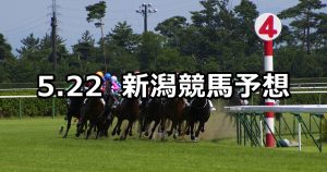 【大日岳特別】2021/5/22(土) 中央競馬 穴馬予想(新潟競馬)