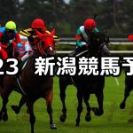 【韋駄天ステークス】2021/5/23(日) 中央競馬 穴馬予想（新潟競馬）
