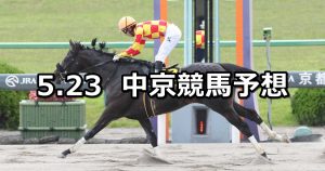 【大垣ステークス】2021/5/23(日) 中央競馬 穴馬予想(中京競馬)