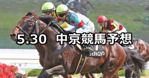 【白百合ステークス】2021/5/30(日) 中央競馬 穴馬予想（中京競馬）