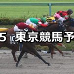【アハルテケステークス】2021/6/5(土) 中央競馬 穴馬予想(東京競馬)