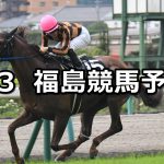【テレビユー福島賞】2021/7/3(土) 中央競馬 穴馬予想(福島競馬)