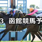 【函館日刊スポーツ杯】2021/7/3(土) 中央競馬 穴馬予想(函館競馬)