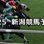 【アイビスサマーダッシュ】2021/7/25(日) 中央競馬 穴馬予想(新潟競馬)