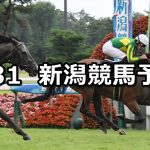 【佐渡ステークス】2021/7/31(土) 中央競馬 穴馬予想(新潟競馬)