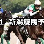 【関越ステークス】2021/8/1(日) 中央競馬 穴馬予想(新潟競馬)