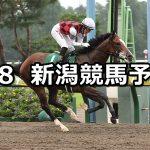 【レパードステークス】2021/8/8(日) 中央競馬予想(新潟競馬)