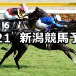【日本海ステークス】2021/8/21(土) 中央競馬予想(新潟競馬)