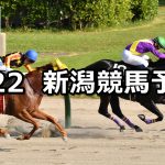 【NST賞】2021/8/22(日) 中央競馬予想(新潟競馬)
