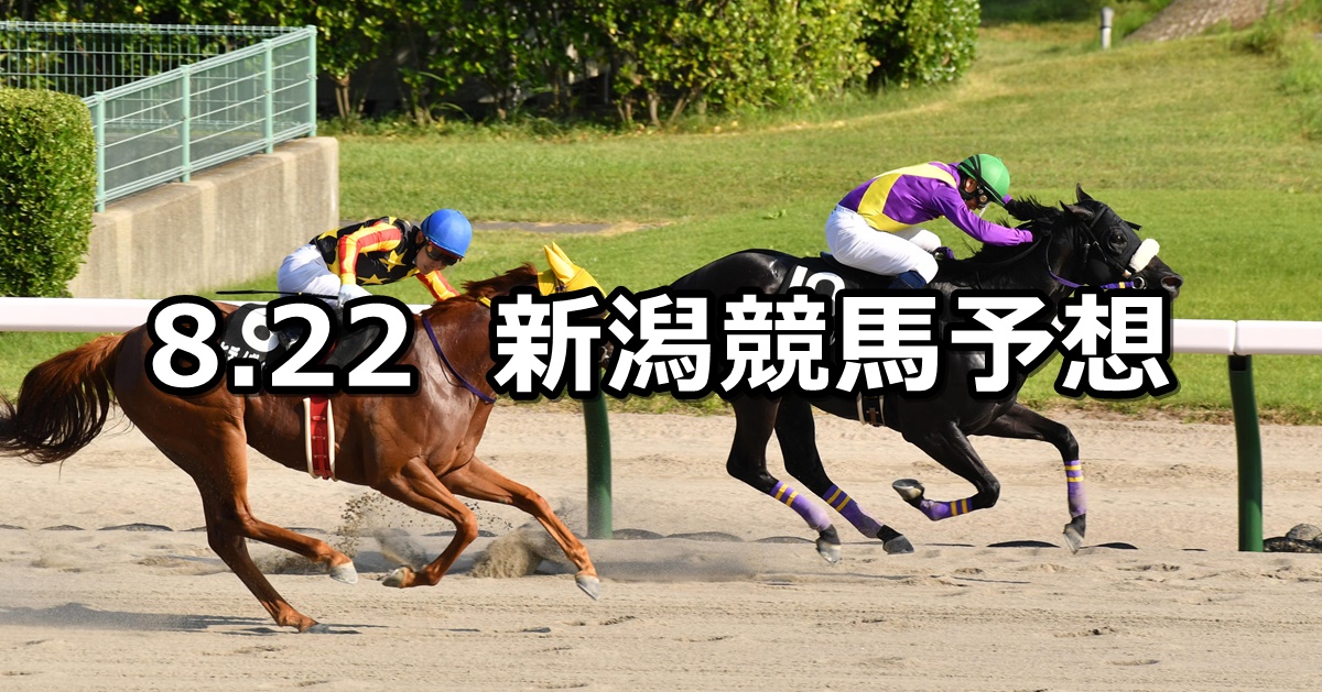 【NST賞】2021/8/22(日) 中央競馬予想（新潟競馬）