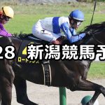 【BSN賞】2021/8/28(土) 中央競馬予想(新潟競馬)