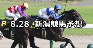 【BSN賞】2021/8/28(土) 中央競馬予想(新潟競馬)