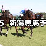 【新潟記念】2021/9/5(日) 中央競馬予想(新潟競馬)