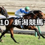 【北陸ステークス】2021/10/10(日) 中央競馬予想(新潟競馬)