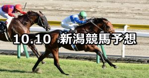 【北陸ステークス】2021/10/10(日) 中央競馬予想(新潟競馬)