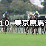 【毎日王冠】2021/10/10(日) 中央競馬予想(東京競馬)
