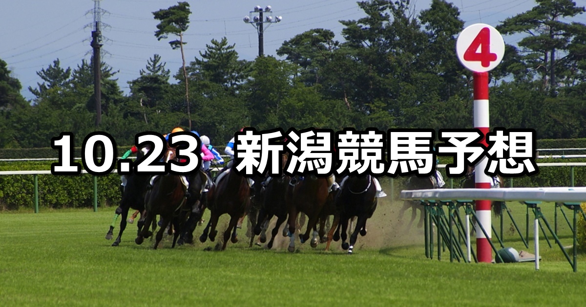 【新津特別】2021/10/23(土) 中央競馬予想（新潟競馬）