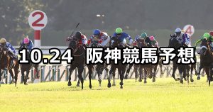 【菊花賞】2021/10/24(日) 中央競馬予想(阪神競馬)