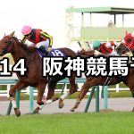 【エリザベス女王杯】2021/11/14(日) 中央競馬 穴馬予想(阪神競馬)