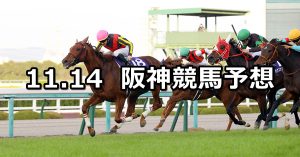 【エリザベス女王杯】2021/11/14(日) 中央競馬 穴馬予想(阪神競馬)