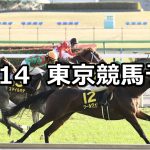 【オーロカップ】2021/11/14(日) 中央競馬 穴馬予想(東京競馬)