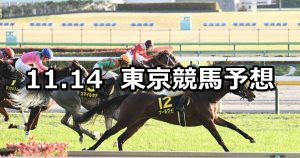 【オーロカップ】2021/11/14(日) 中央競馬 穴馬予想(東京競馬)