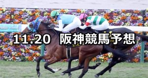 【アンドロメダステークス】2021/11/20(土) 中央競馬予想（阪神競馬）