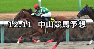 【師走ステークス】2021/12/11(土) 中央競馬予想（中山競馬）