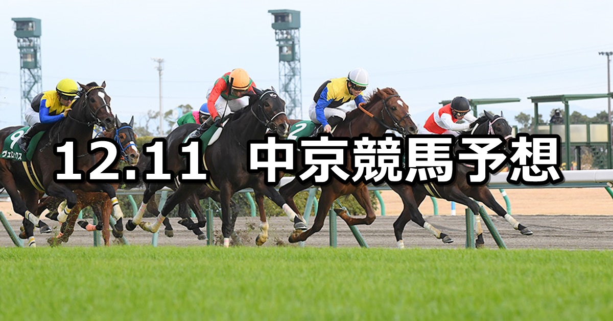 【中日新聞杯】2021/12/11(土) 中央競馬予想（中京競馬）
