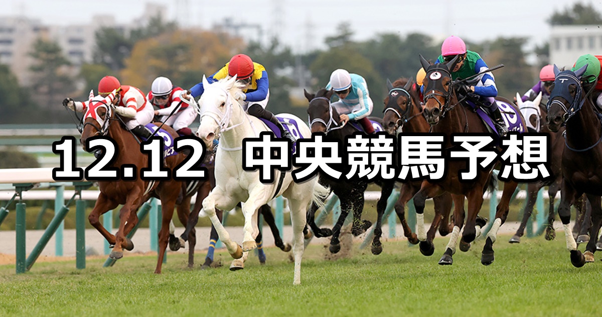 【カペラステークス】2021/12/12(日) 中央競馬予想（中山競馬）