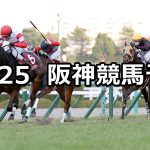 【阪神カップ】2021/12/25(土) 中央競馬 穴馬予想（阪神競馬）