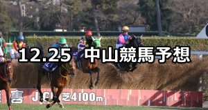 【中山大障害/グレイトフルステークス】2021/12/25(土) 中央競馬 穴馬予想(中山競馬)