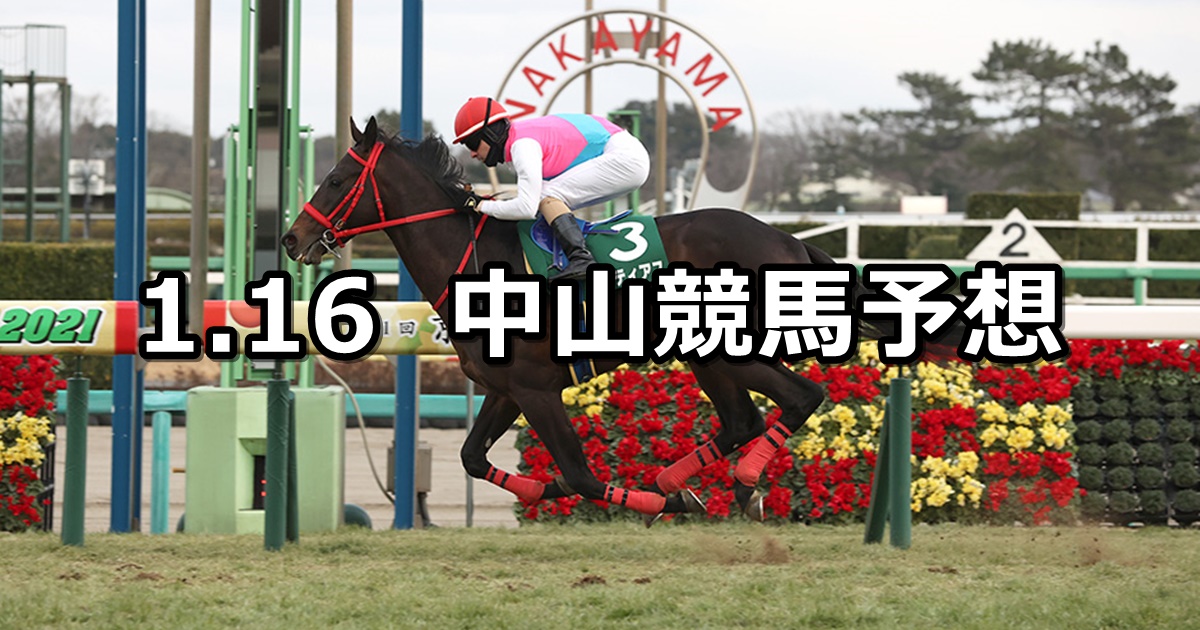 【京成杯】2022/1/16(日) 中央競馬予想（中山競馬）