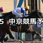 【アルデバランステークス】2022/2/5(土) 中央競馬 穴馬予想(中京競馬)