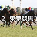 【デイリー杯クイーンカップ】2022/2/12(土) 中央競馬 穴馬予想(東京競馬)